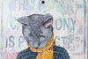 Cat Colony