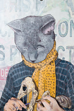 Cat Colony