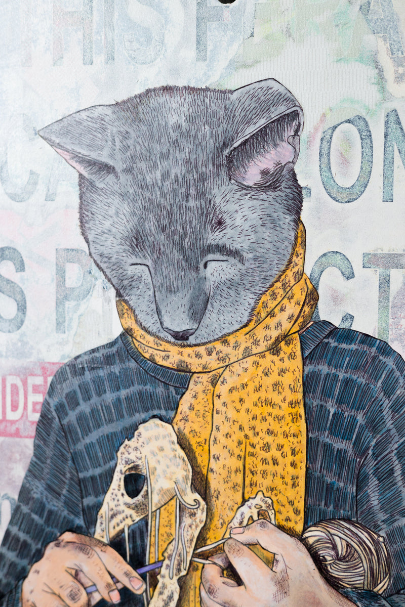 Cat Colony