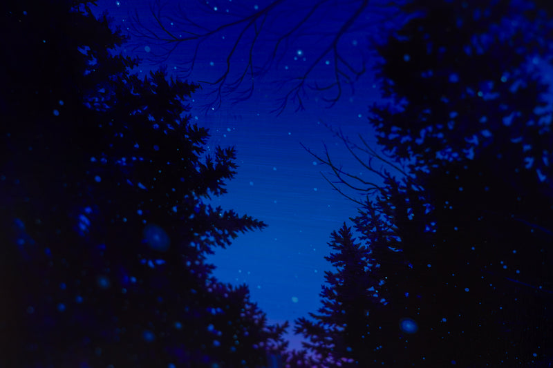 Sleep Embers