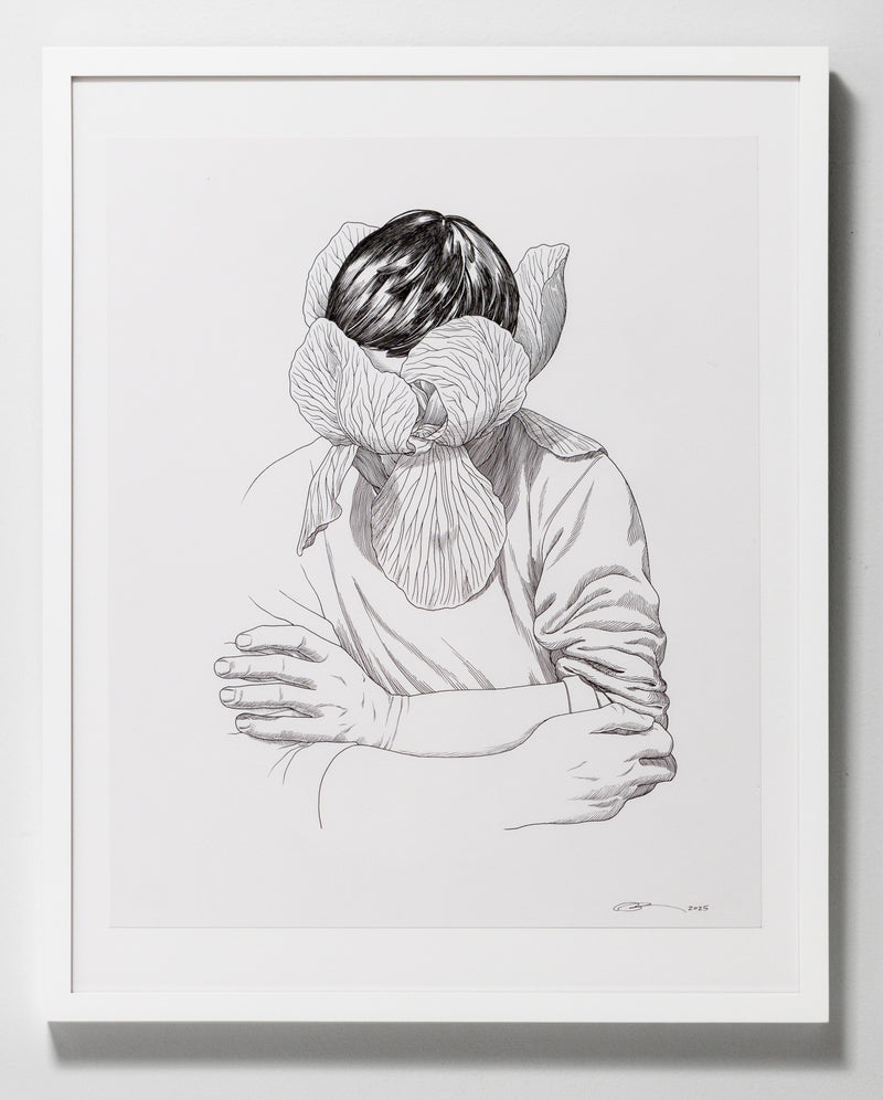 Illustrateur