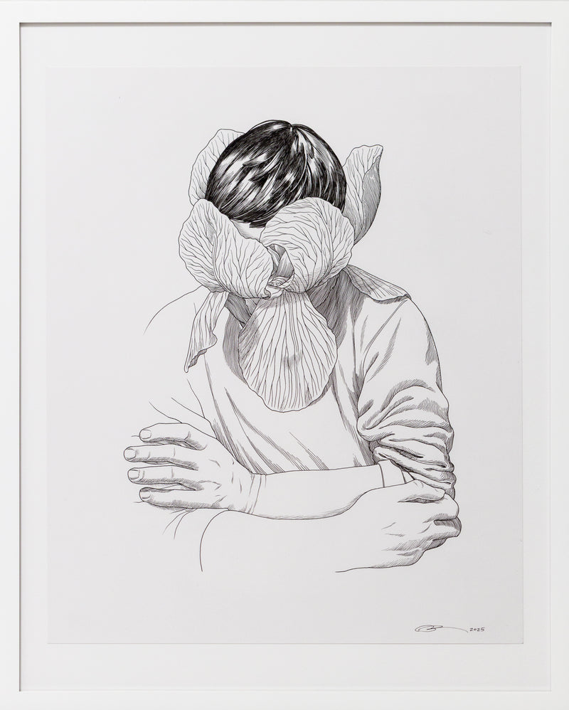 Illustrateur