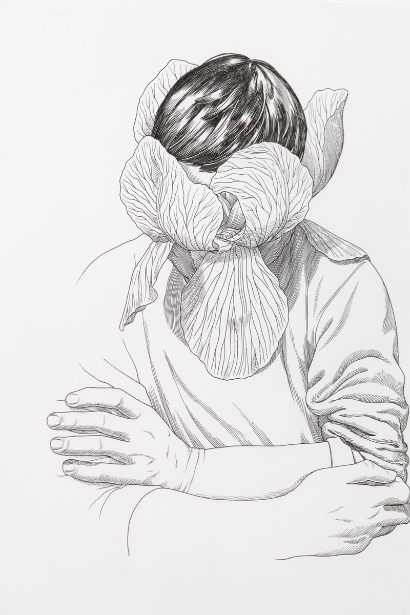 Illustrateur