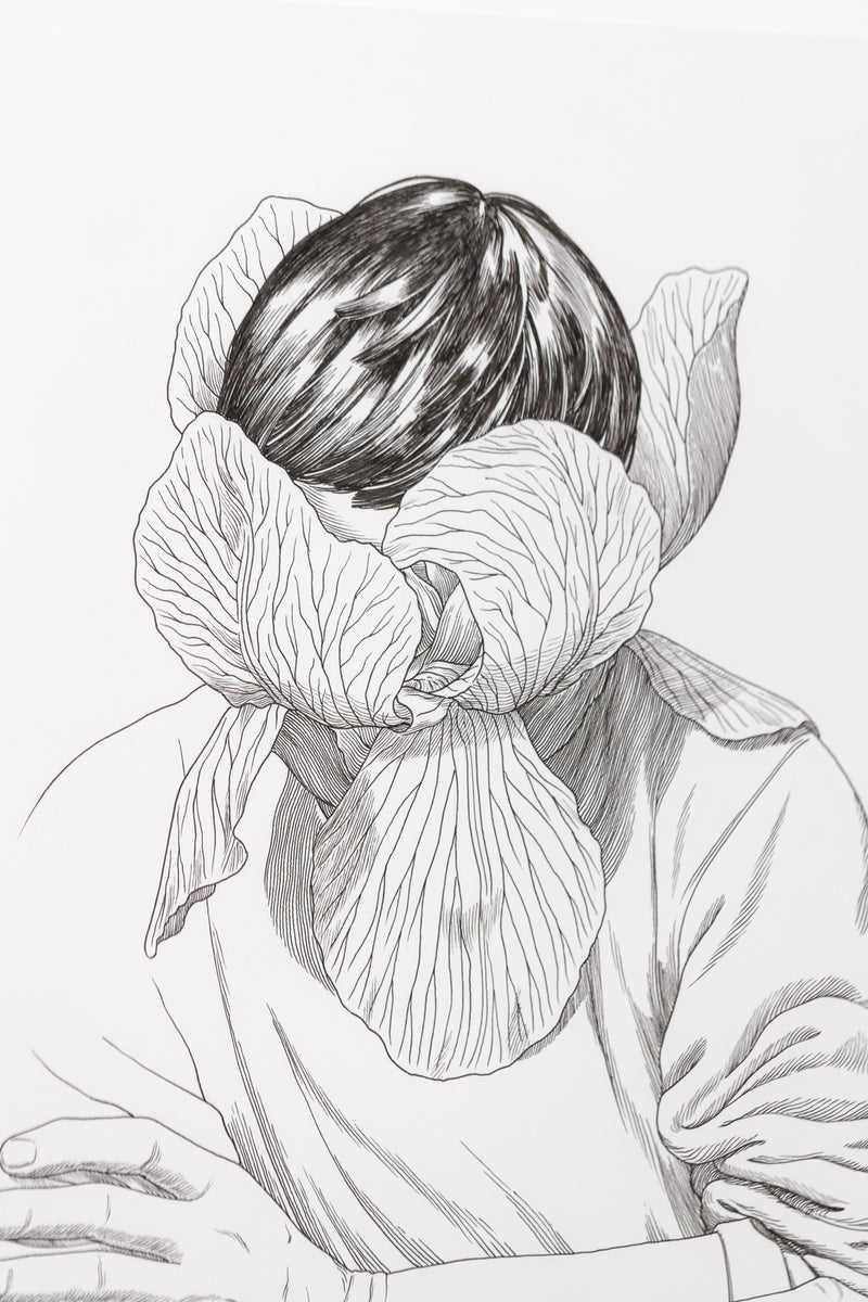 Illustrateur