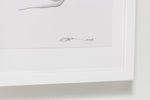 Illustrateur