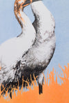 Whooping Crane, Grus americana