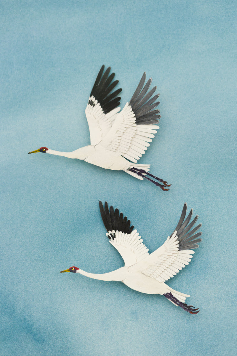 Whooping Cranes