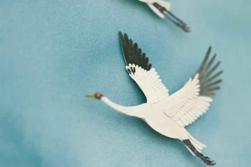 Whooping Cranes