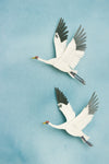 Whooping Cranes