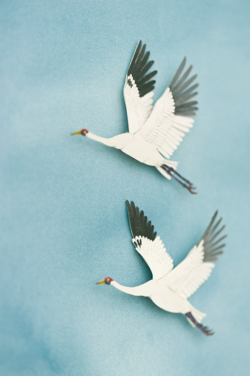 Whooping Cranes