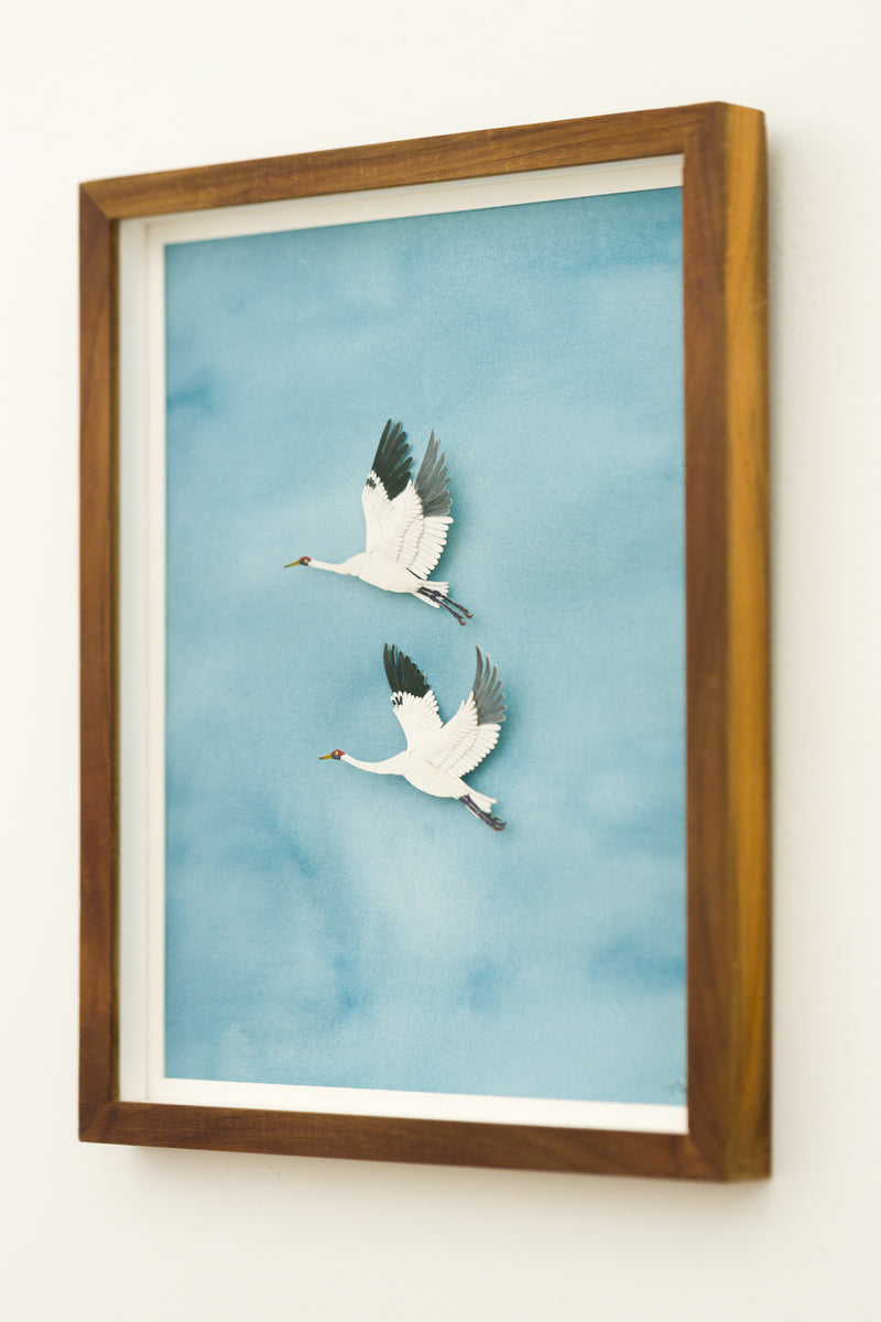 Whooping Cranes