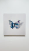 A Thing of Beauty #7 (Charaxes) 36"x36" Edition 4/10