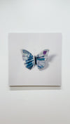 A Thing of Beauty #7 (Charaxes) 36"x36"