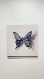 A Thing of Beauty #6 (Graphium) 36"x36" Edition 5/10