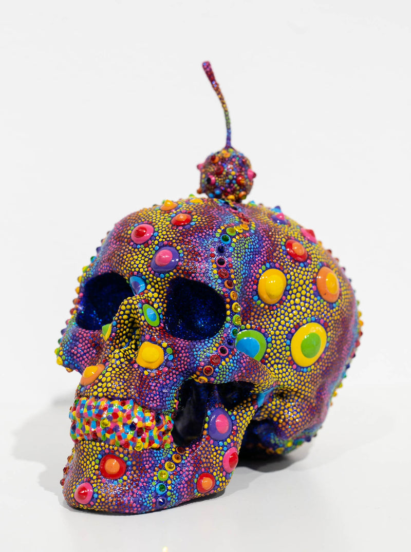 Candy Urchin Skull