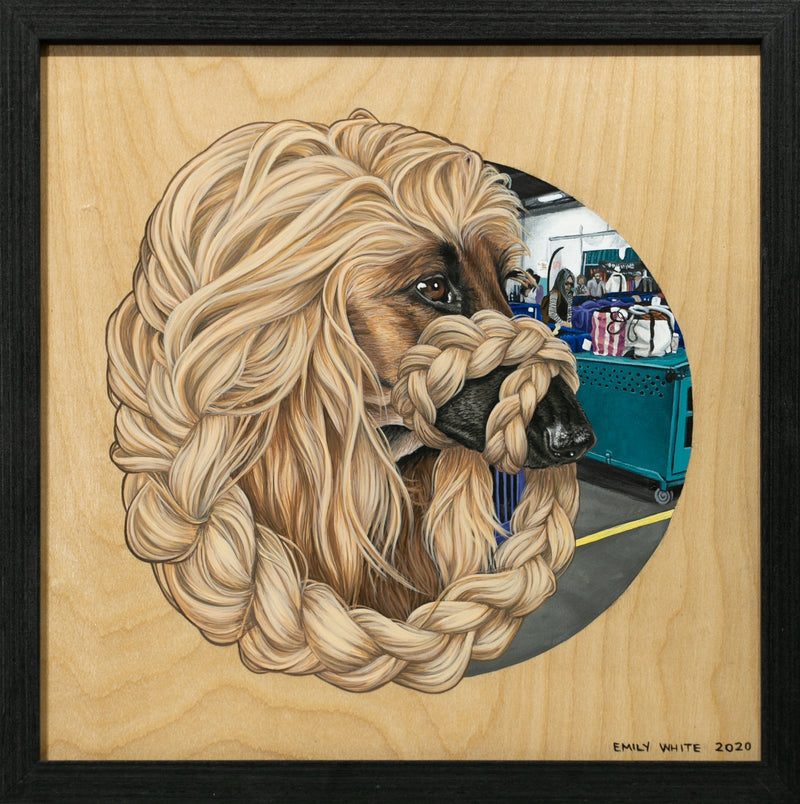 Afghan Hound II (Somewhere in PA)