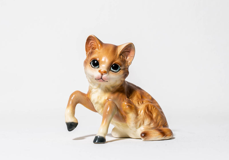 Horse Cat (Orange)