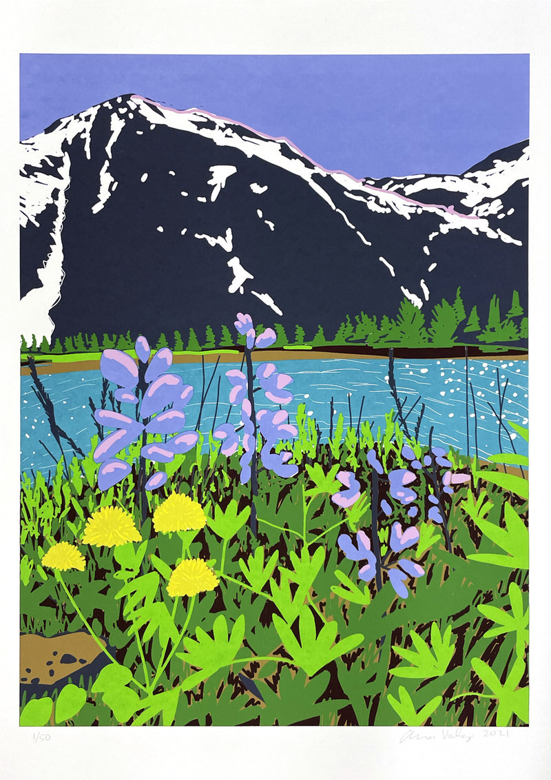 Anna Valdez - Anchorage, Alaska (second edition)