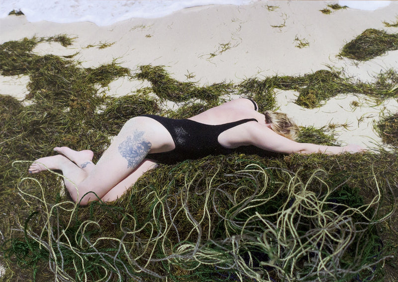 Seaweed