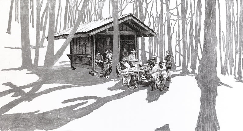 Low Gap Shelter, Georgia, [ 34.77624, -83.8245 ]