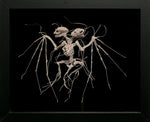 Night Glaive II