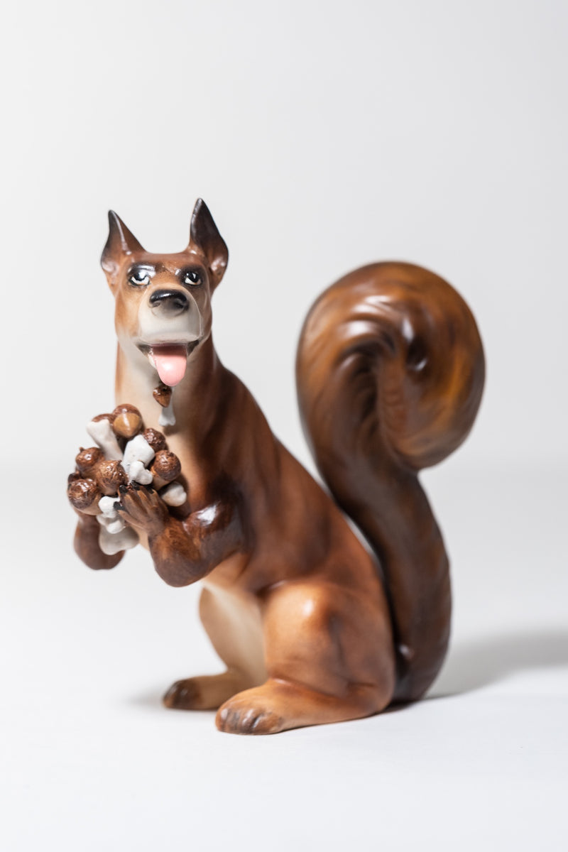 Squirrel Dog