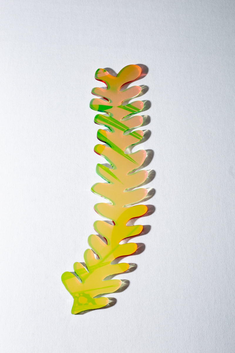 Squiggly Fern