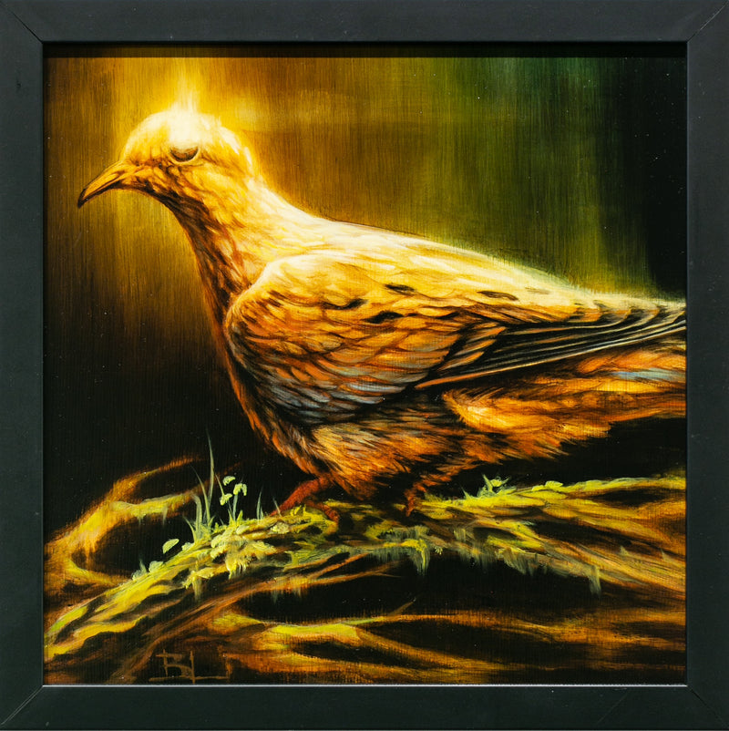 Rain Dove