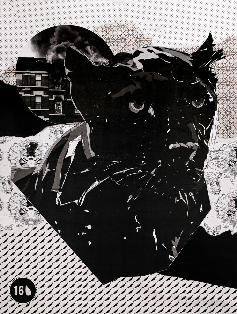 Aggressed II