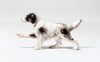 Pointer (Black & White)