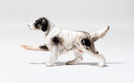 Pointer (Black & White)