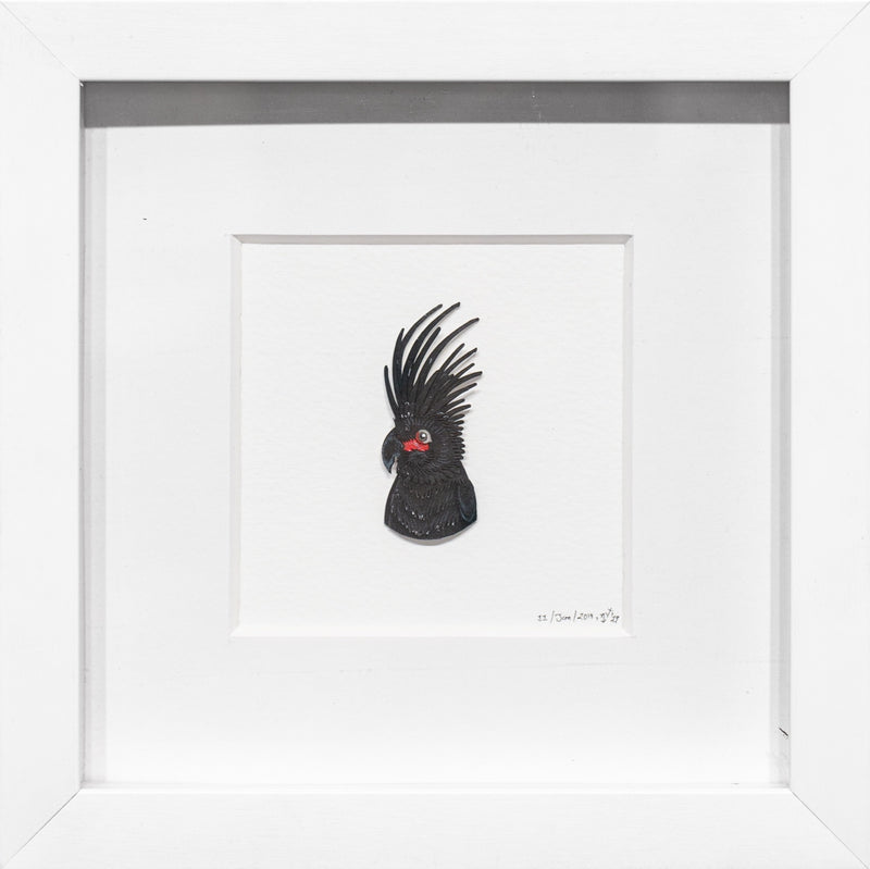 Palm Cockatoo Portrait