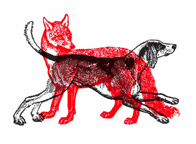 Fox / Hound (inverted) 2010