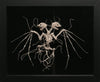 Night Glaive III