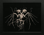Night Glaive III