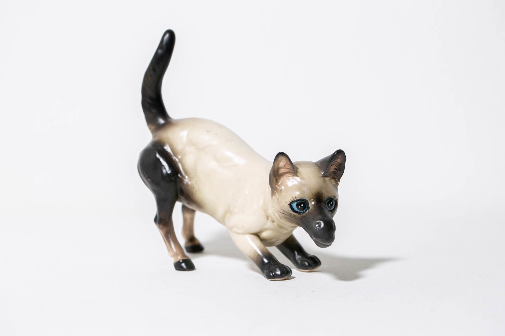 Siamese Horse Cat – Paradigm Gallery + Studio