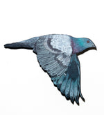 Pigeon III