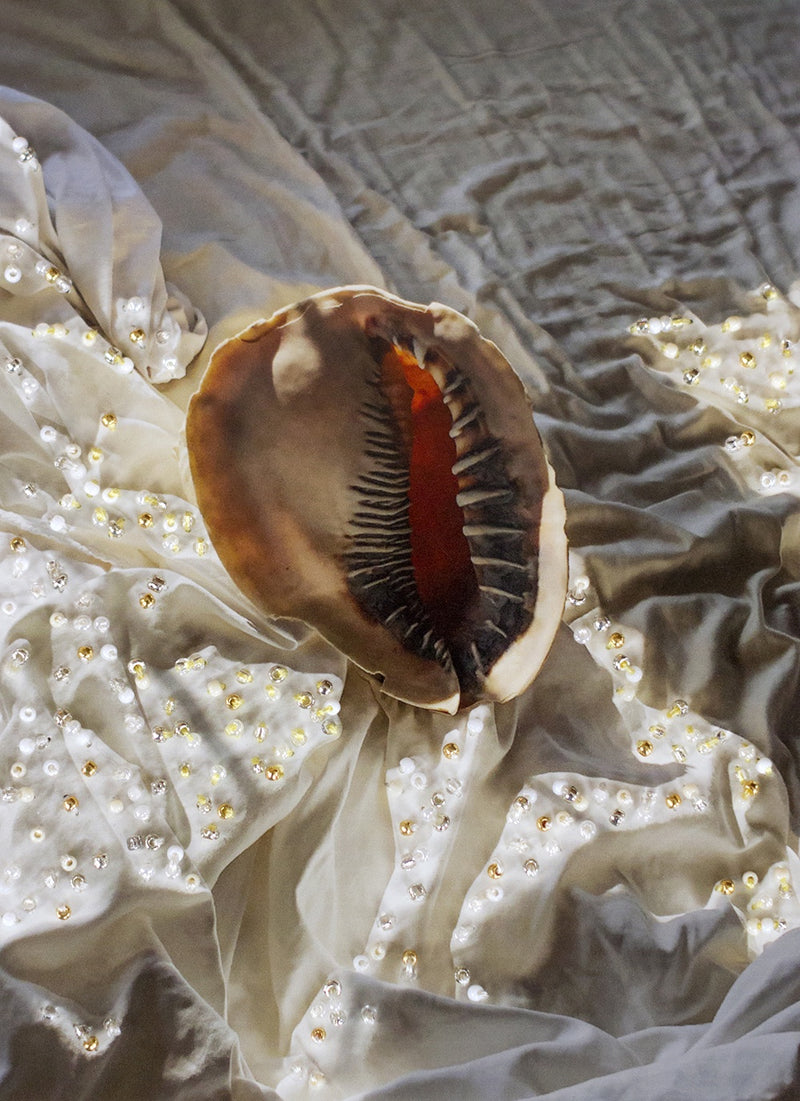 Shell