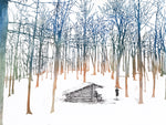 Spring Mountain Shelter, Tennessee, [ 35.95177, -82.79007 ]