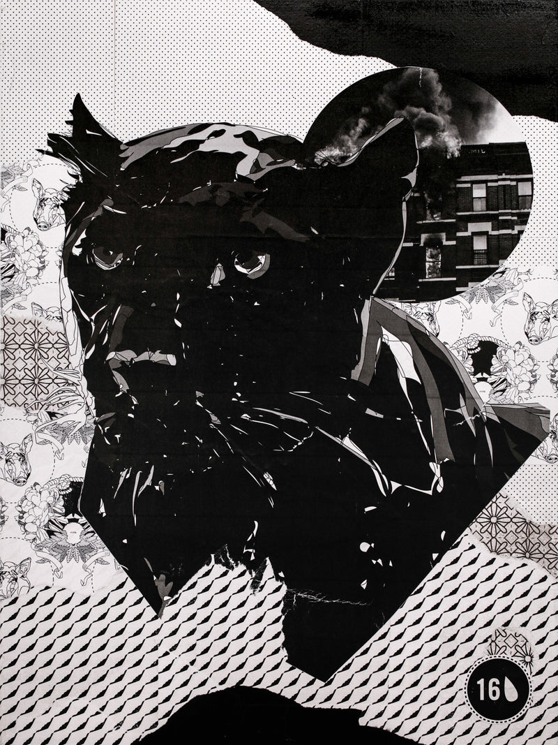 Aggressed I