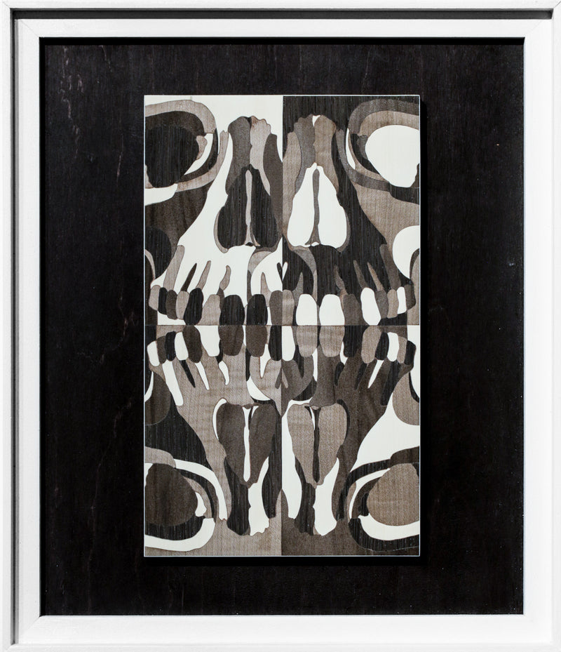 Human Skull