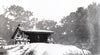 Fingerboard Shelter, New York. [ 41.26327, -74.10399 ]