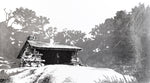 Fingerboard Shelter, New York. [ 41.26327, -74.10399 ]