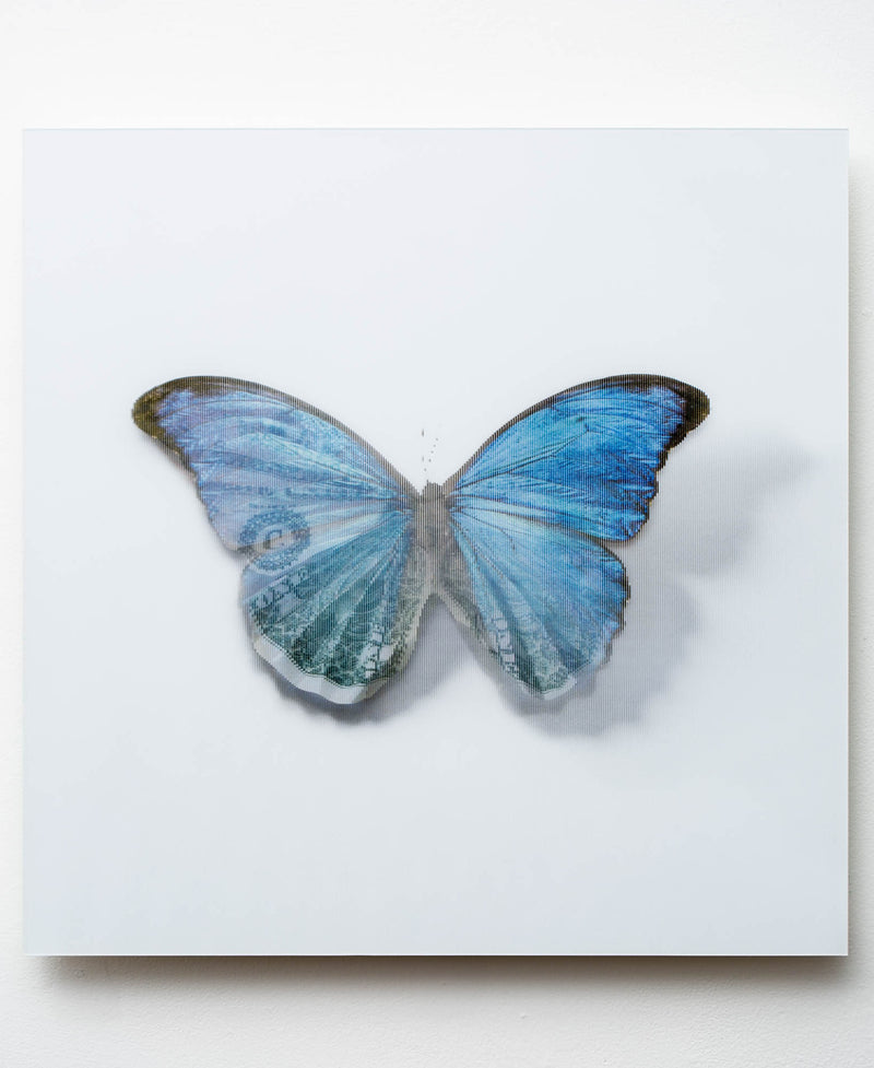 A Thing Of Beauty #1 (Morpho)