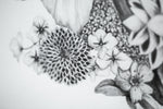 Abundant