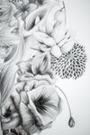 Abundant
