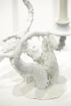 Snowy White Owl Feathers and Orca Fins