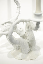 Snowy White Owl Feathers and Orca Fins