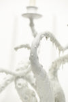 Snowy White Owl Feathers and Orca Fins