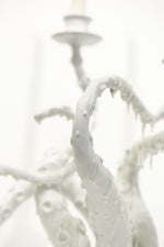 Snowy White Owl Feathers and Orca Fins